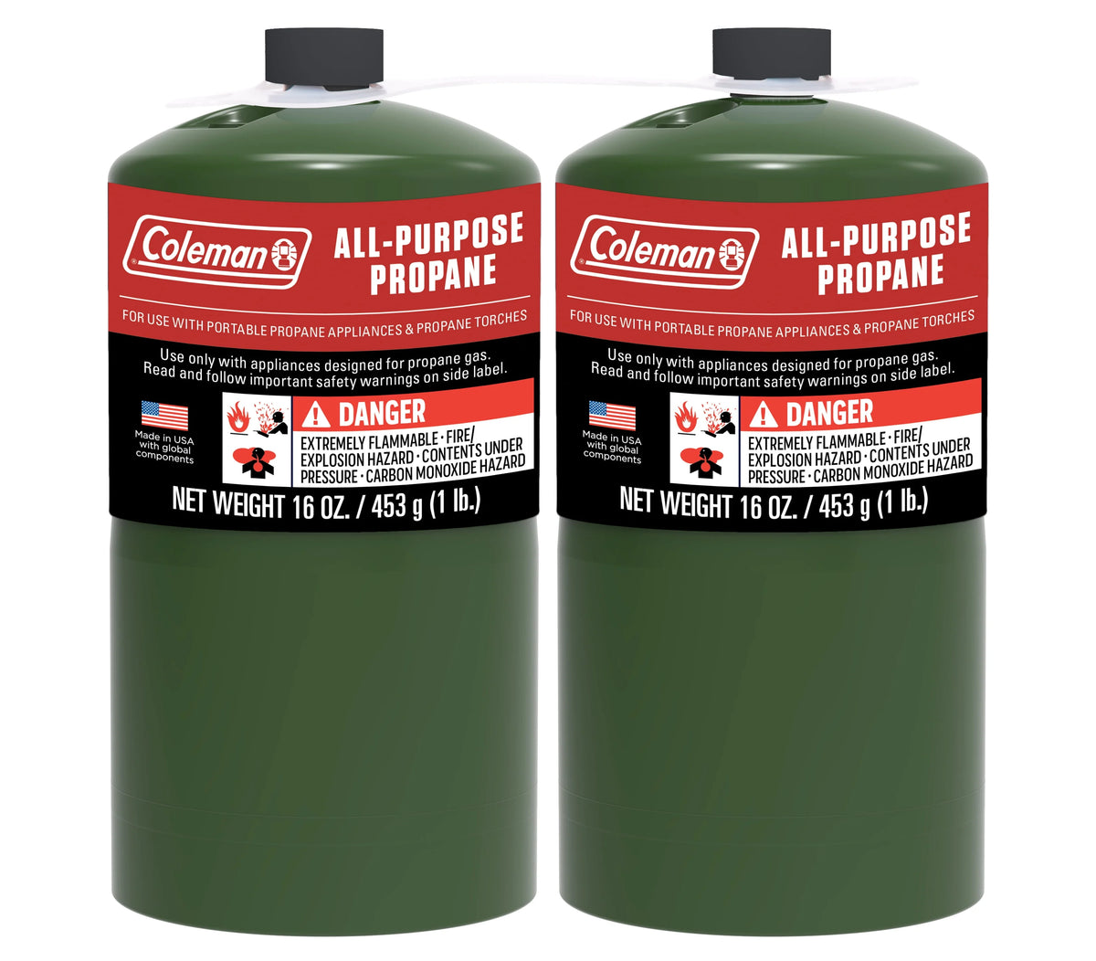 16 oz 2-Pack Propane Gas Cylinder M617