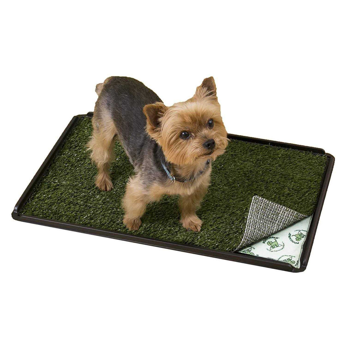 Indoor Turf Dog Potty P951055