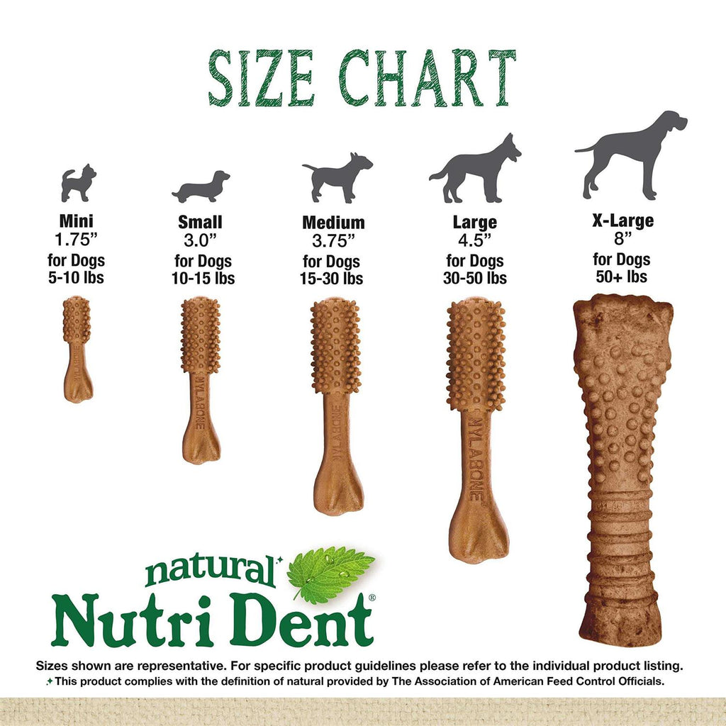 Filet Mignon Flavored Dog Dental Chews N487