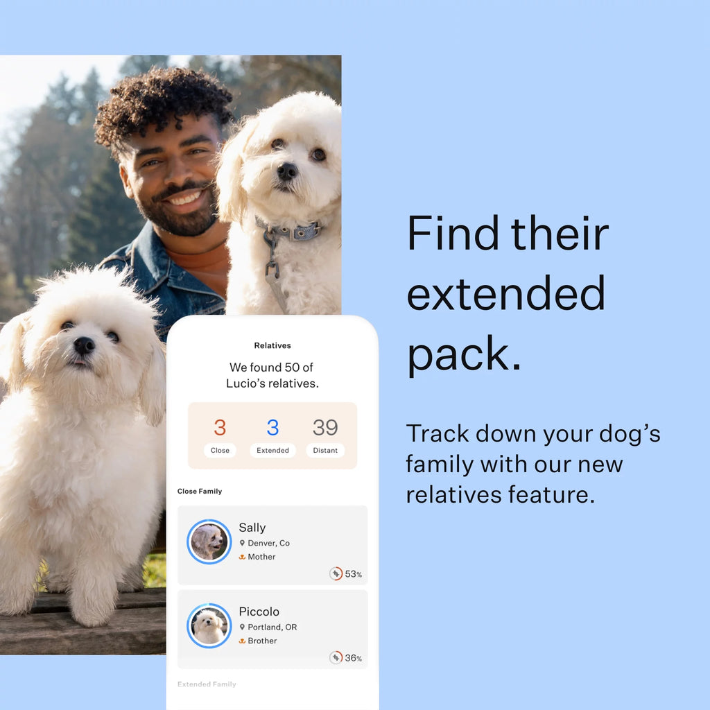 Dog Breed Discovery DNA Test Kit Q72446