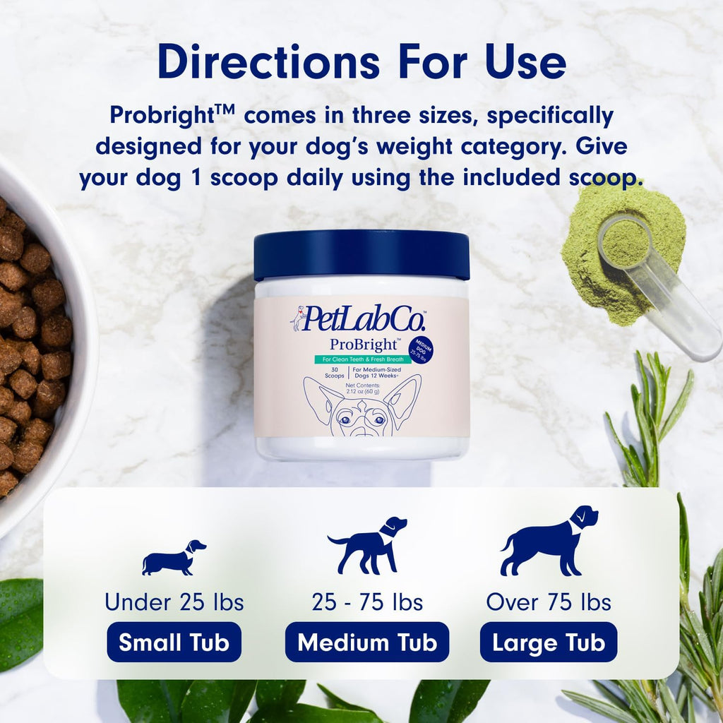 Oral Hygiene & Gut Health Bundle: Dental Powder & Probiotics for Dogs X59918