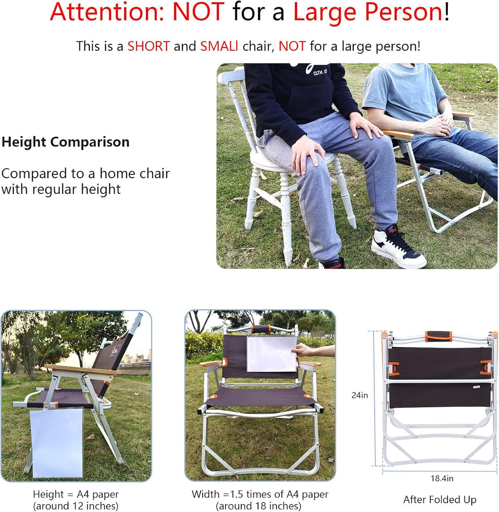 Camping Beach Chair, Heavy Duty Triangular Frame, Easy Folding with Portable Bag and Back Pocket, Dark Brown D11221