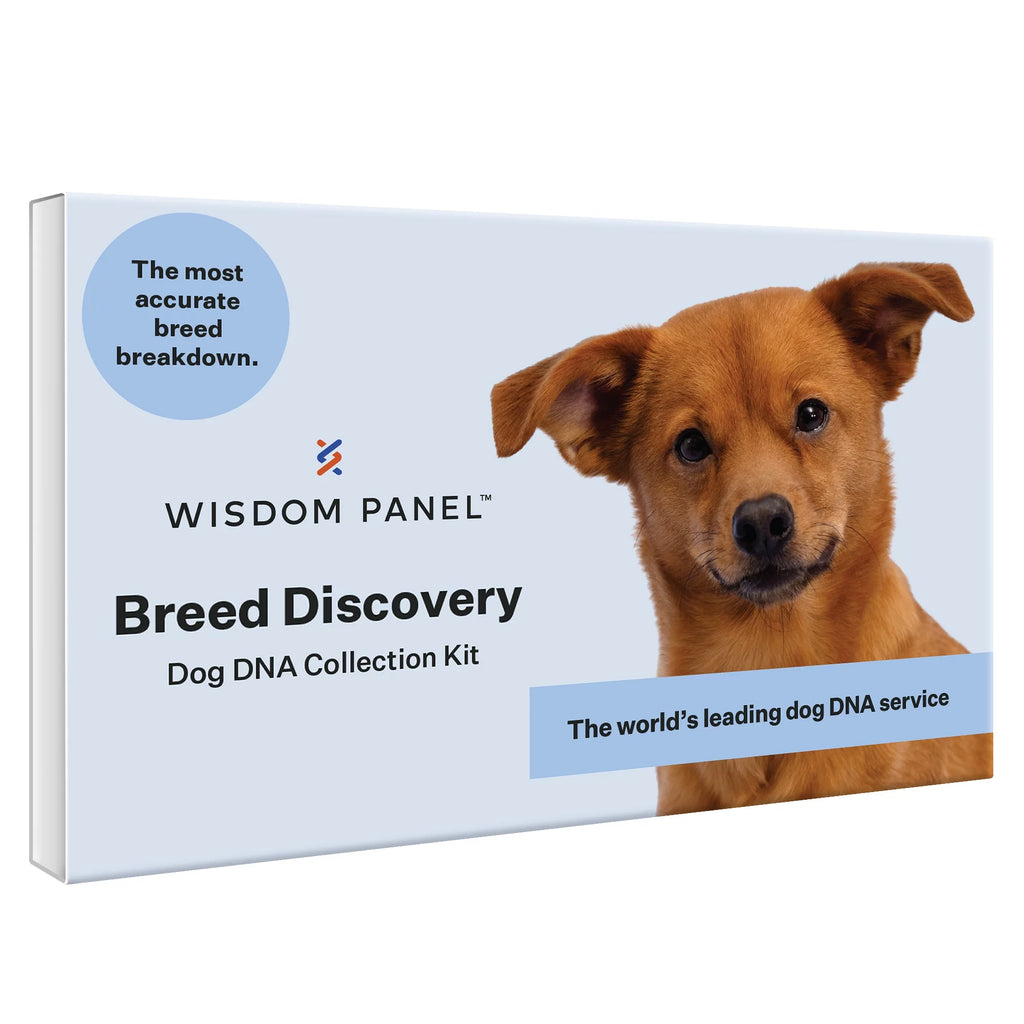 Dog Breed Discovery DNA Test Kit Q72446