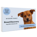 Dog Breed Discovery DNA Test Kit Q72446
