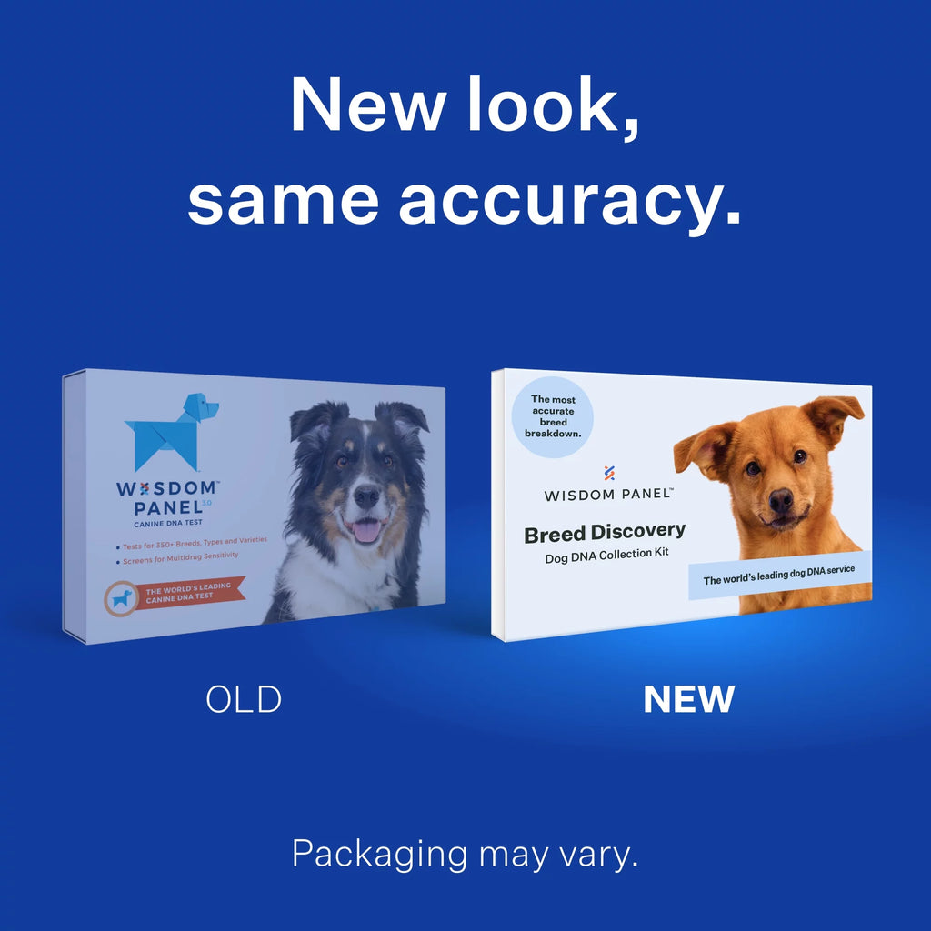 Dog Breed Discovery DNA Test Kit Q72446