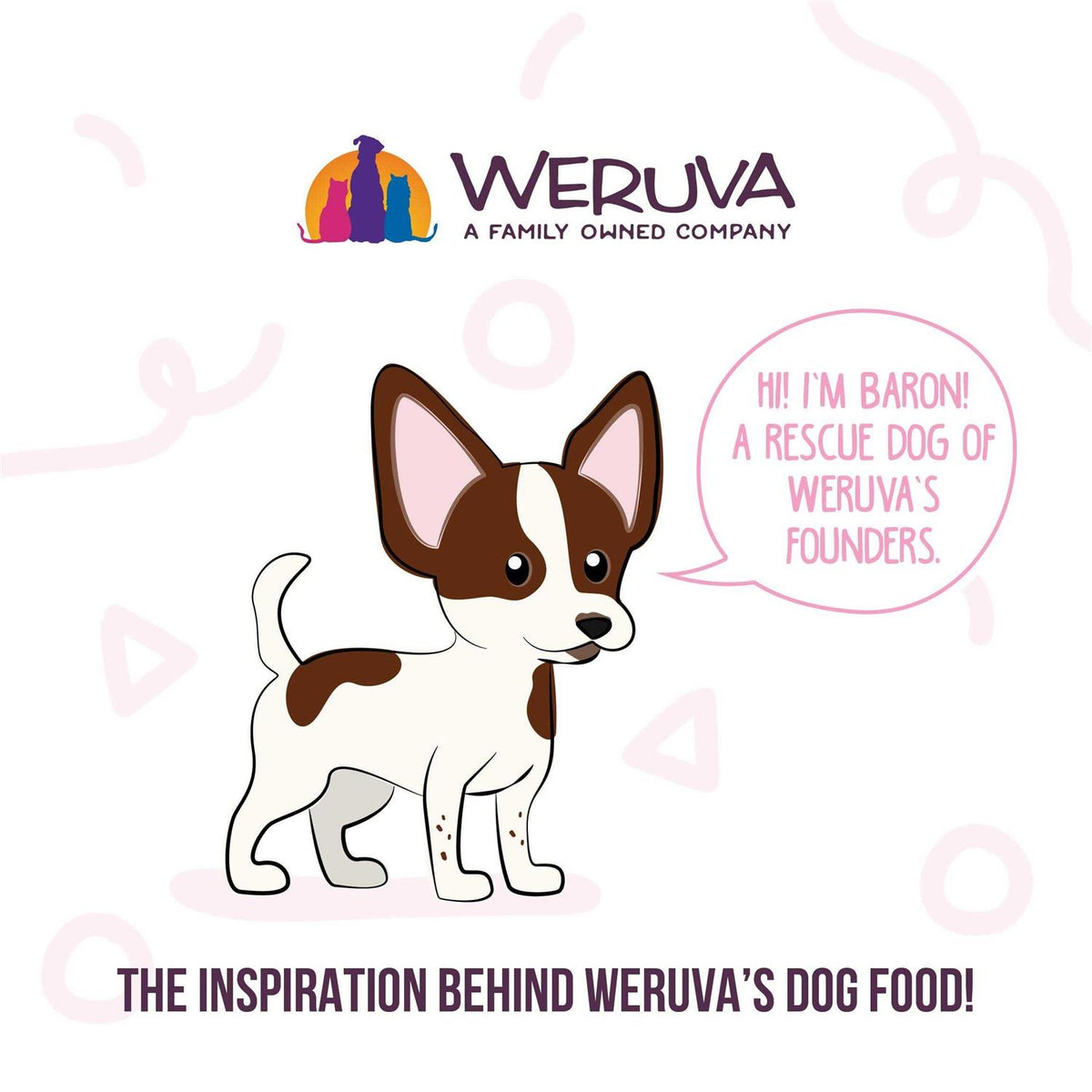Dog Meals Variety Pack A3679