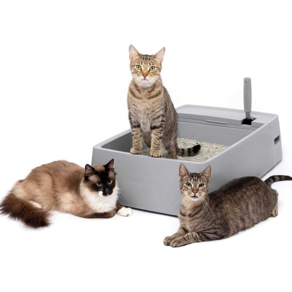 Multi-Cat Litter Box Q202968