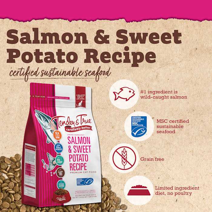 Salmon & Sweet Potato Recipe Dry Cat Food C8306
