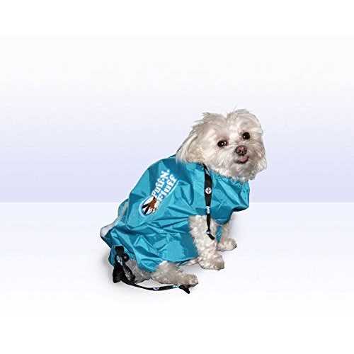 Small Dog Dryer C145891
