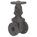 2 In Class 125 Flange Gate Valve A652455