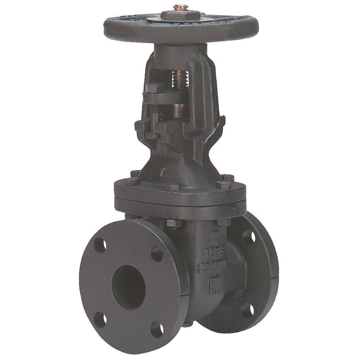 2 In Class 125 Flange Gate Valve A652455