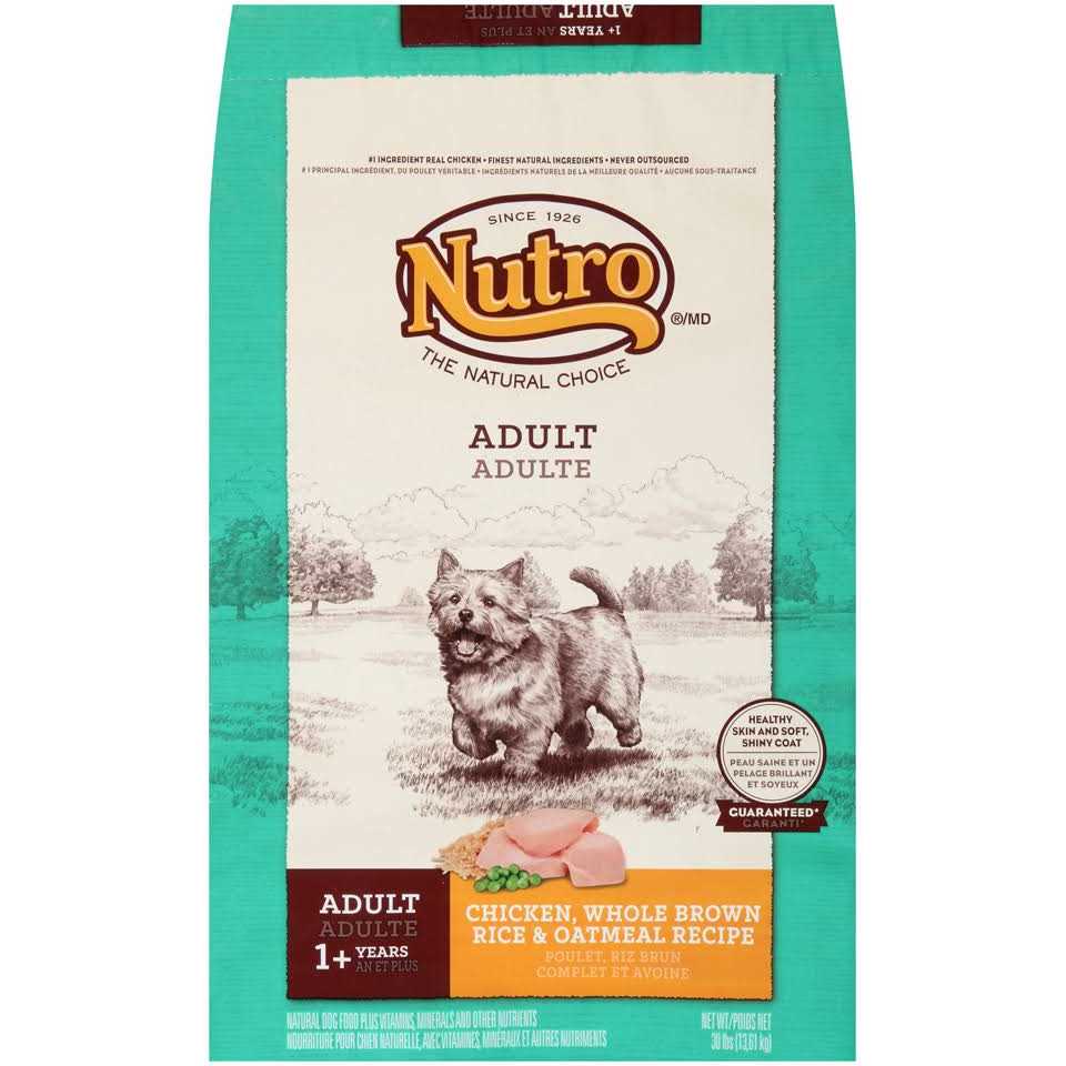 Adult Chicken & Brown Rice Dry Dog Food H99598