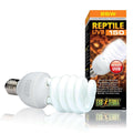 Desert Terrarium Bulb A597759