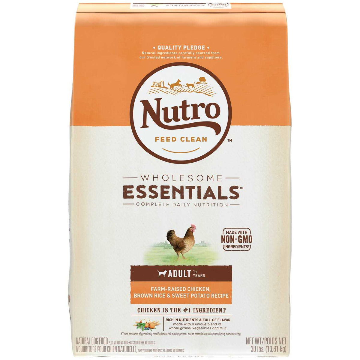 Adult Chicken & Brown Rice Dry Dog Food H99598