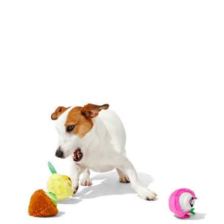 Dog Toys Squeaker Ball Toys I32509