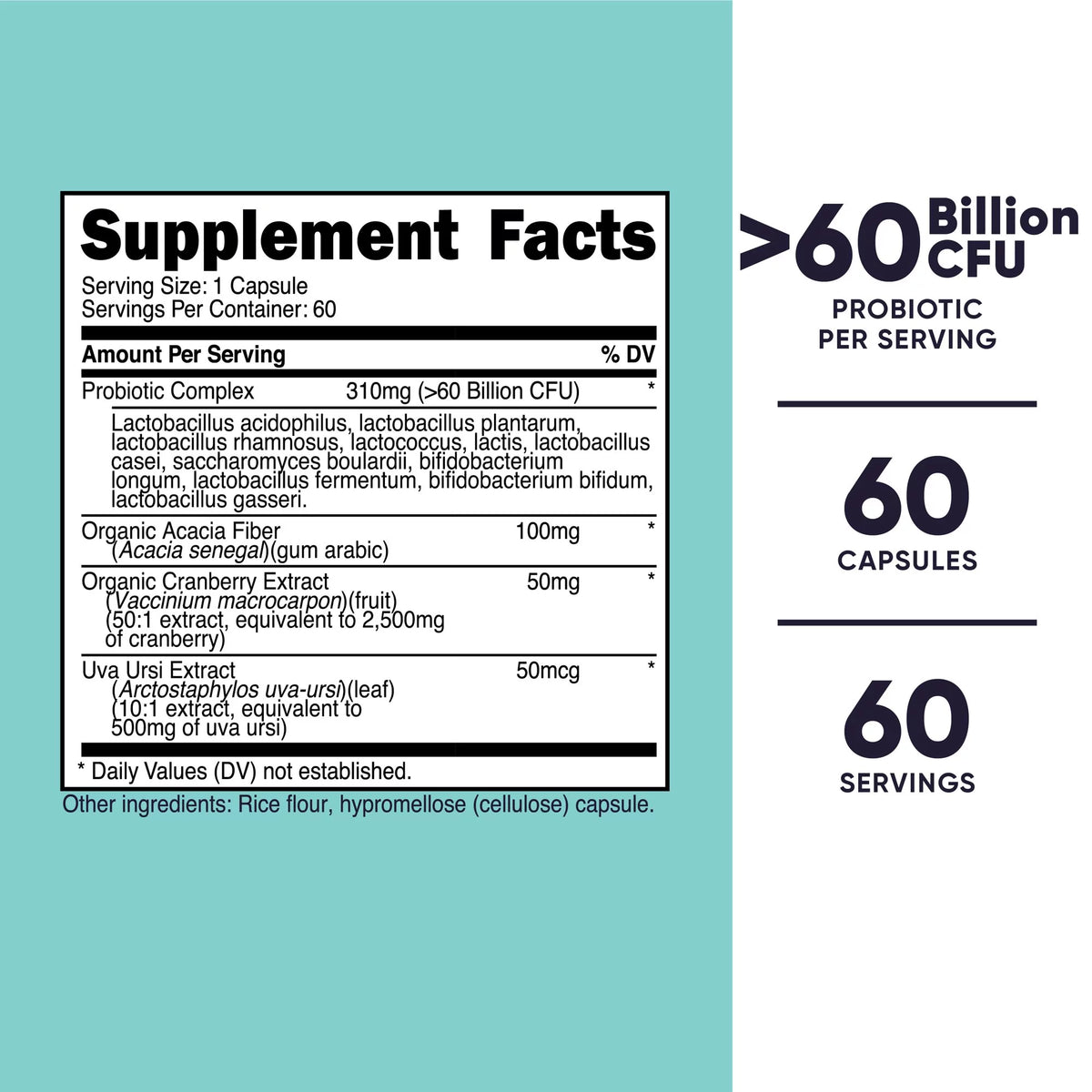 Probiotic Supplement 60 Billion CFU 60 Capsules C647
