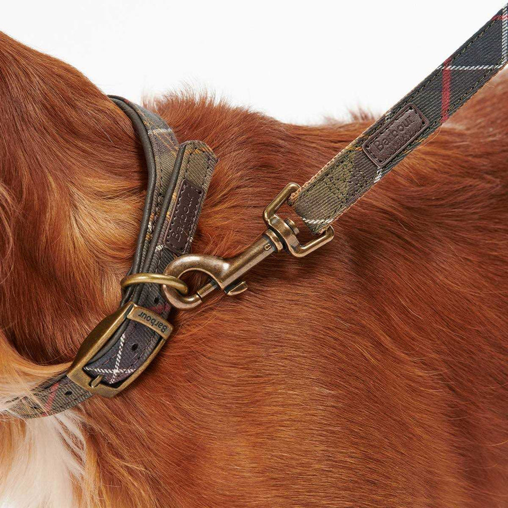 Tartan Webbing Collar K58221