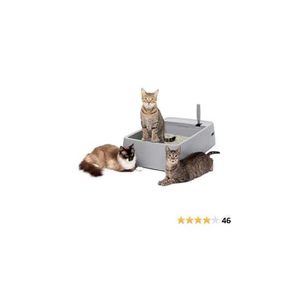 Multi-Cat Litter Box Q202968