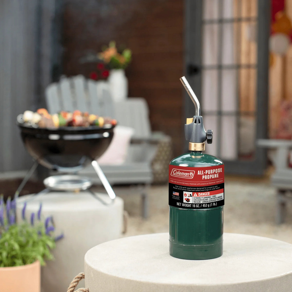 16 oz 2-Pack Propane Gas Cylinder M617