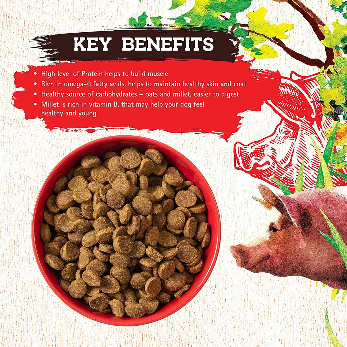 Pork Recipe Dog Food M9966