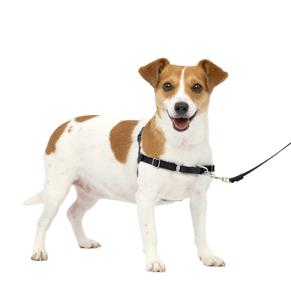 Easy Walk Dog Harness P929882