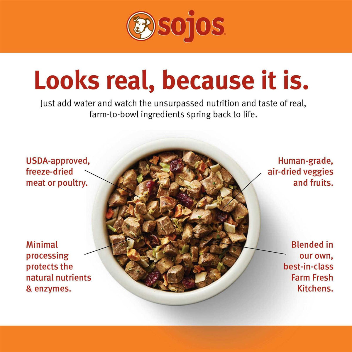 Grain-Free Turkey & Salmon Recipe Freeze Dried Dog Food B470