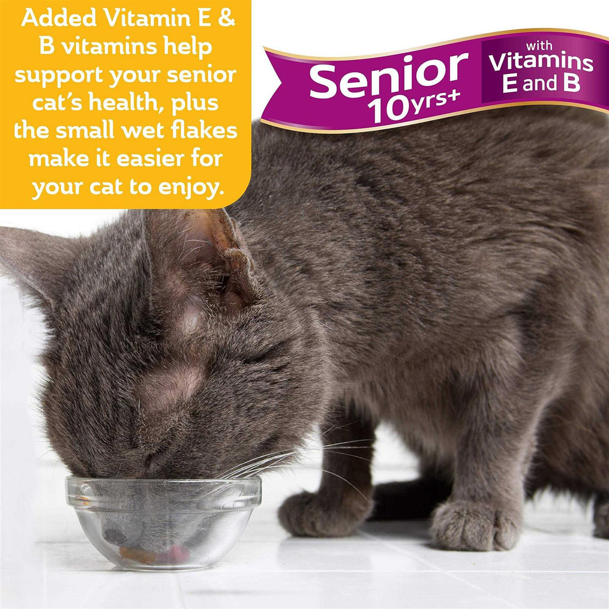 Senior Chicken & Tuna Lickable Cat Treats W105892