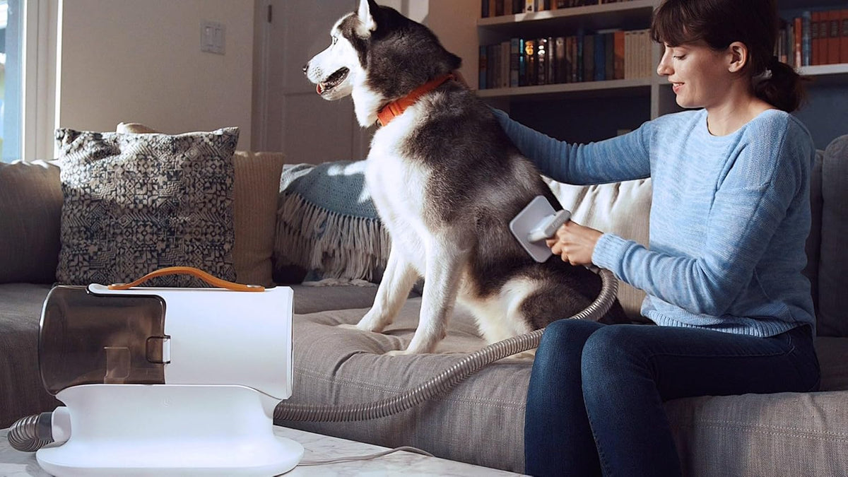 Dog Grooming Vacuum with 5 Pet Grooming Tools O15215