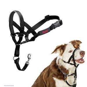 Headcollar D2151