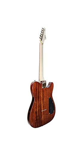 Natural Semi-Hollow-Body Electric Guitar V198275