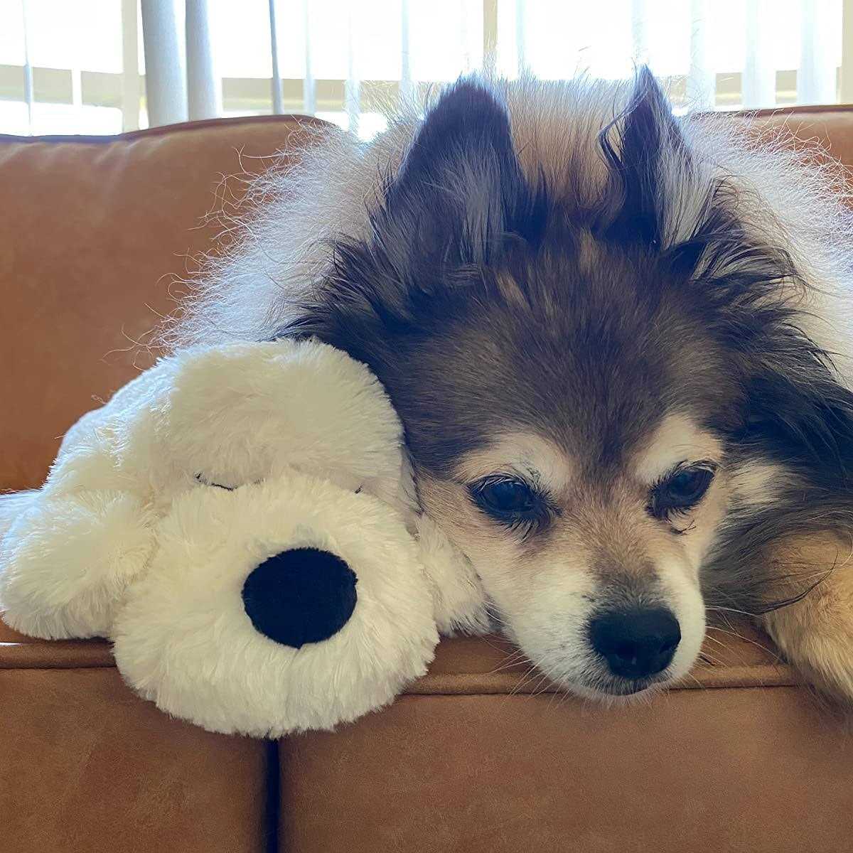 Puppy Toy K573