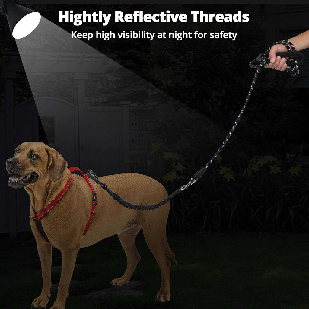 Heavy Duty Reflective Bungee Dog Leash P38103
