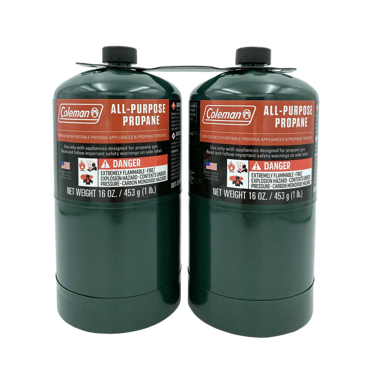 16 oz 2-Pack Propane Gas Cylinder M617