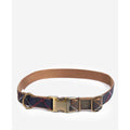 Tartan Webbing Collar K58221