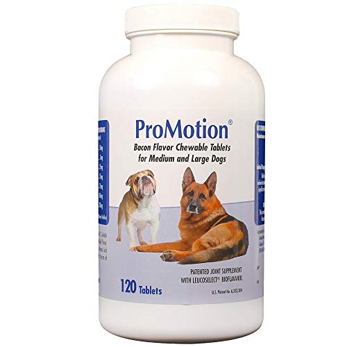 120 Chewable Tablets for Medium & Large Dogs R47583