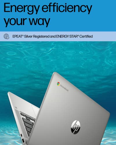 Mineral Silver 14" HD Display Chromebook Laptop F800