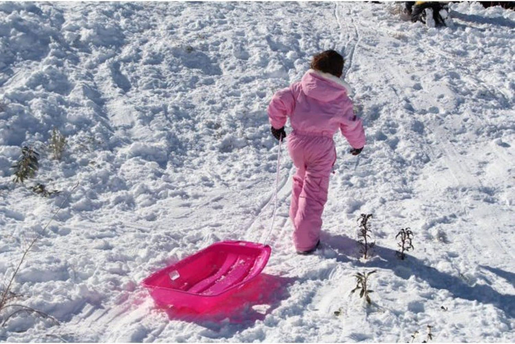 Red 2 Pack Plastic Snow Sled with Pull Rope and Handles Q1633