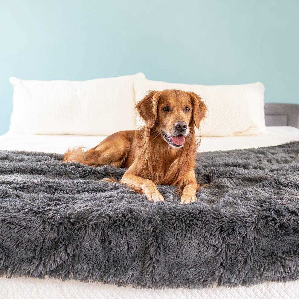 Throw Blanket A31613