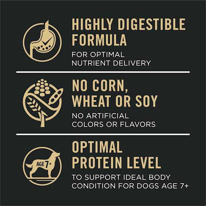 Salmon & Rice Senior Dry Dog Food R60190