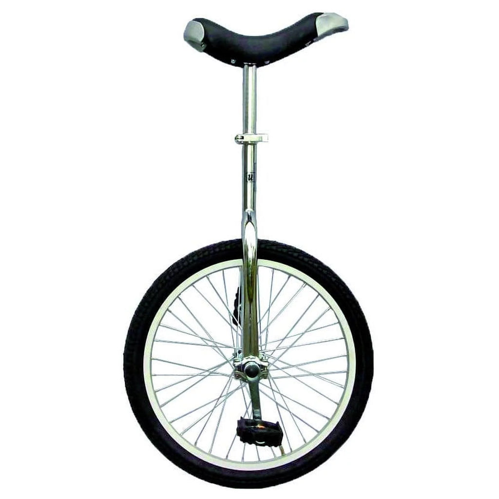 20 inch Unicycle with Alloy Rim, Blue I307196