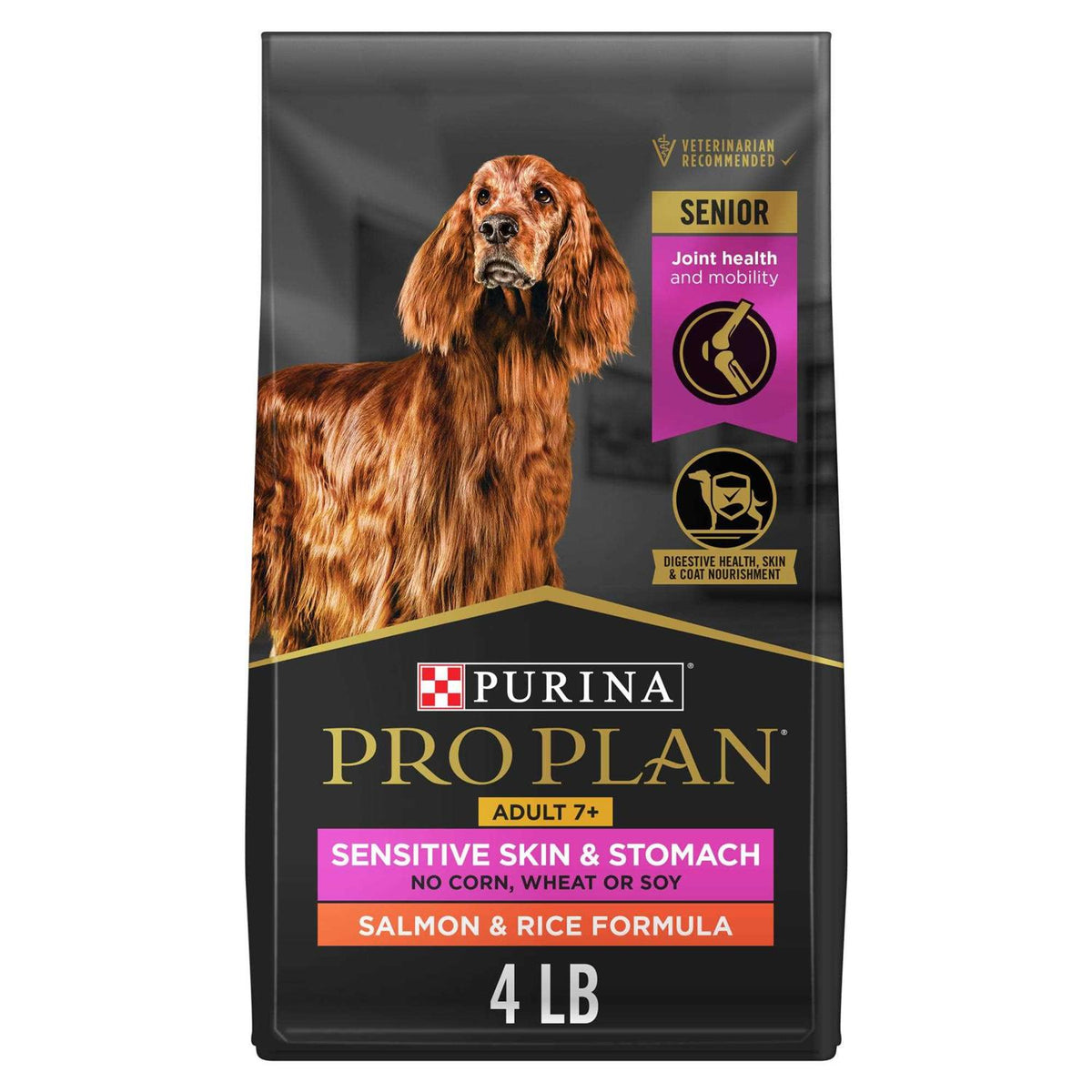 Salmon & Rice Senior Dry Dog Food R60190