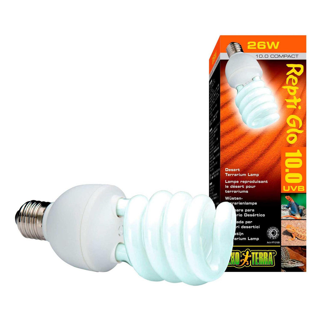 Desert Terrarium Bulb A597759