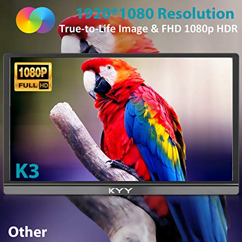15.6inch 1080P FHD USB-C HDMI IPS Gaming Monitor J729
