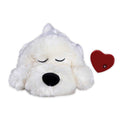 Puppy Toy K573