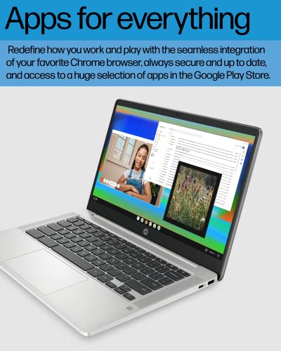 Mineral Silver 14" HD Display Chromebook Laptop F800