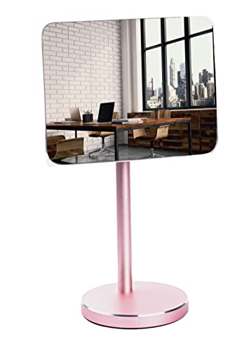 Silver Stand Detachable Wide Angle Real Glass Mirror P41294