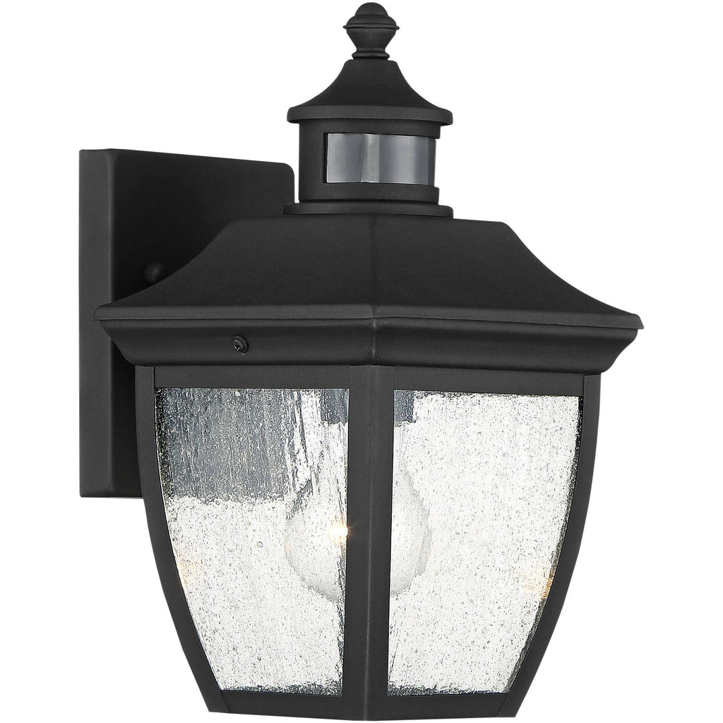Black 12 inch Clear Seedy Glass Motion Sensor Outdoor Wall Light I418875