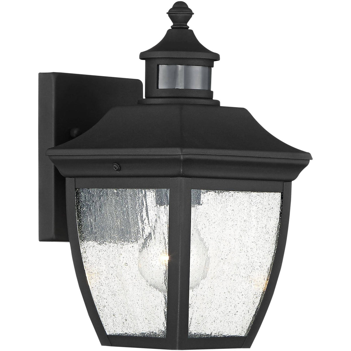 Black 12 inch Clear Seedy Glass Motion Sensor Outdoor Wall Light I418875