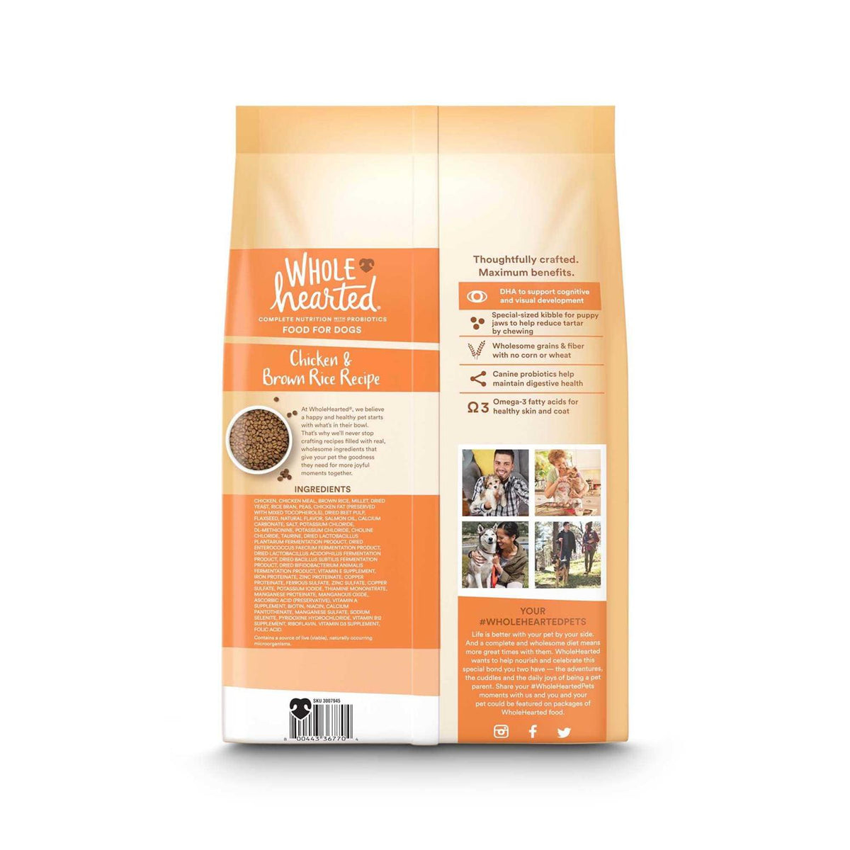 Chicken and Brown Rice Recipe Dry Puppy Food Z297594