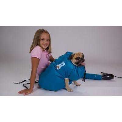 Small Dog Dryer C145891
